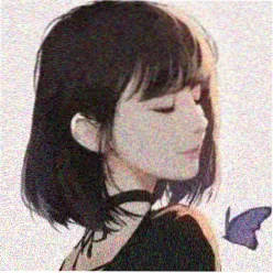 用户头像 白毛控本控